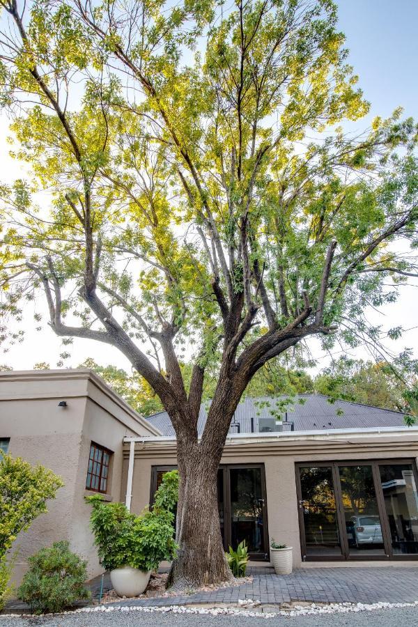 The Nightingale Guesthouse Bloemfontein Esterno foto